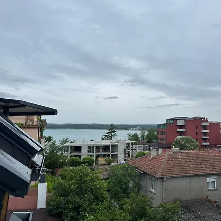 лилия 2